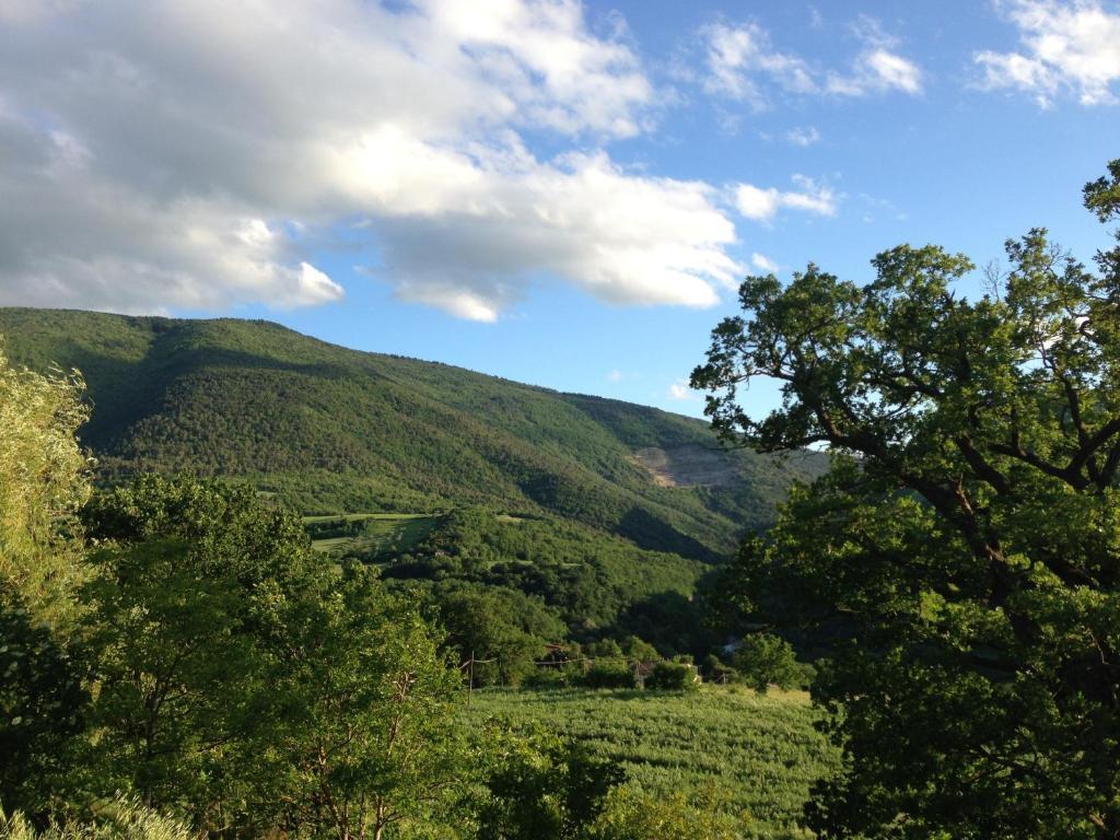 Villa Agriturismo Nizzi Assisi Exterior foto